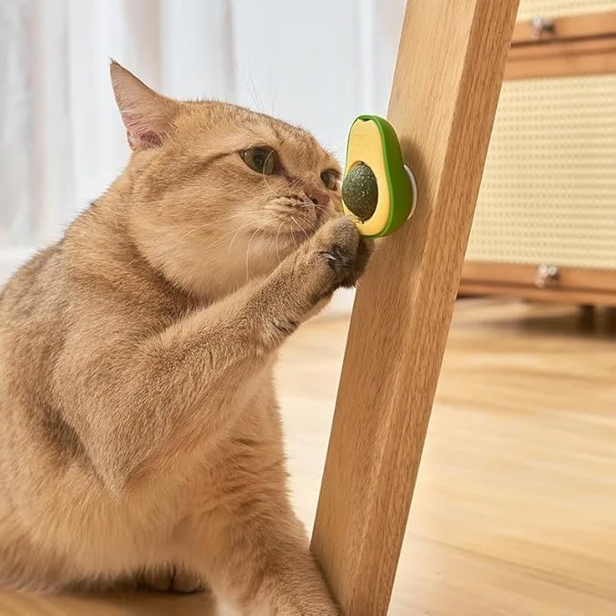 Avocado Catnip Ball Toy